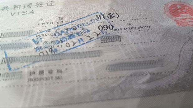 Valid visa stamped on the traveller's passport