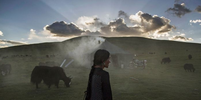 Climate Change on Tibetan Plateau is Threatening Life: Report