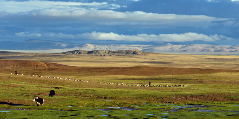 Chinese officials forcing local Tibetans to part with their land without any compensation