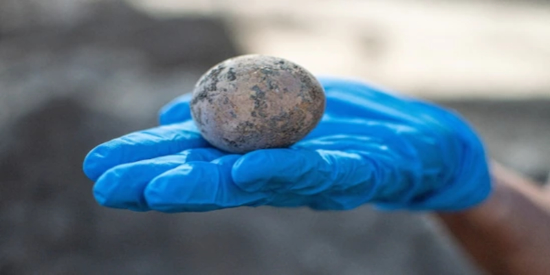 Archaeologists find unbroken chicken egg 1000 years old.