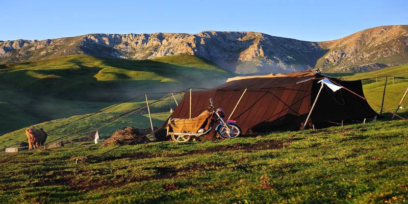 China pushes Tibetan nomads to hand over ownership of their land