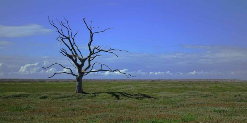 Tibetan Plateau is being impacted by climate change.