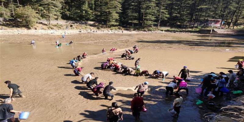 Villagers and Tibetans preserve dying fish as Dharamshala’s Dal Lake dries up