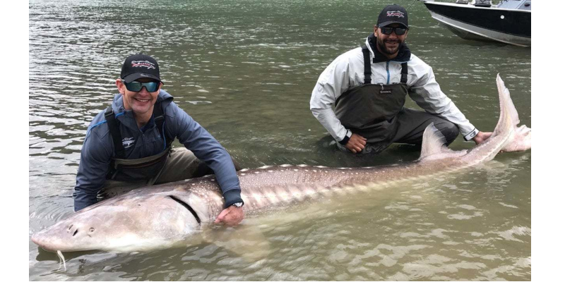 Huge ‘Living Dinosaur’ was caught by fisherman.